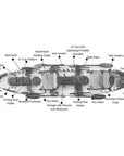 Specifications diagram of Cambridge Kayaks Orca double sit on top fishing kayak, highlighting rod holders, storage, seating and hull features for tandem use